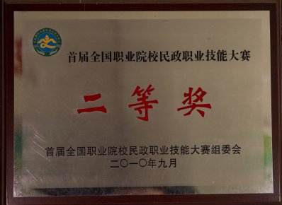 技能竞赛获奖