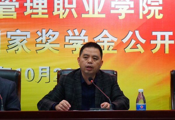 实践活动