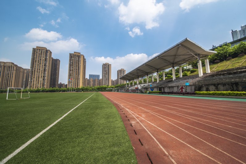 (023)65626161（政务值班