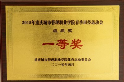 电话：023 86968818