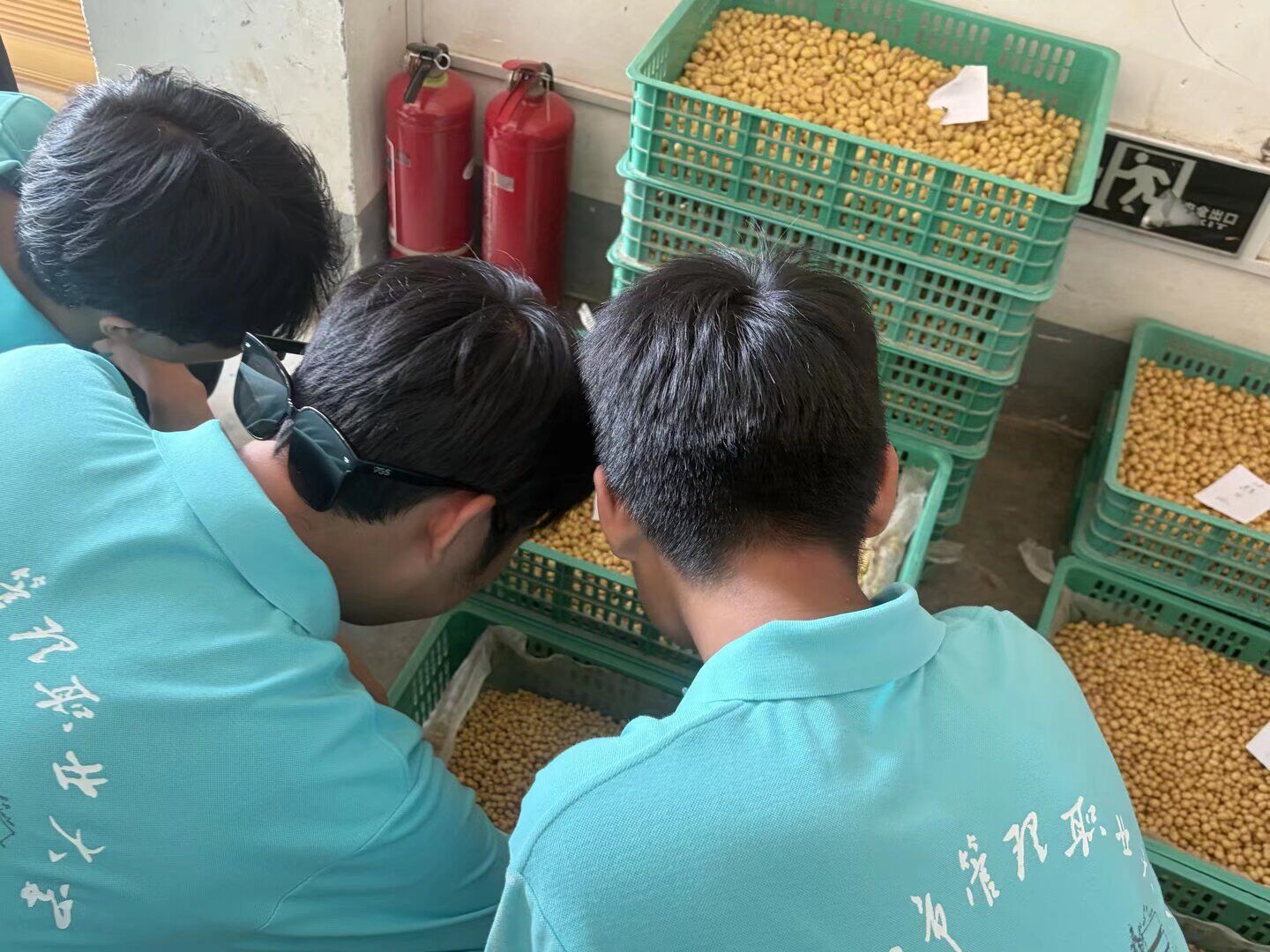 走进乡村振兴一线