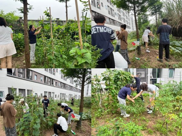 乐乐捕鱼最新版下载“蒲公英”爱心社开