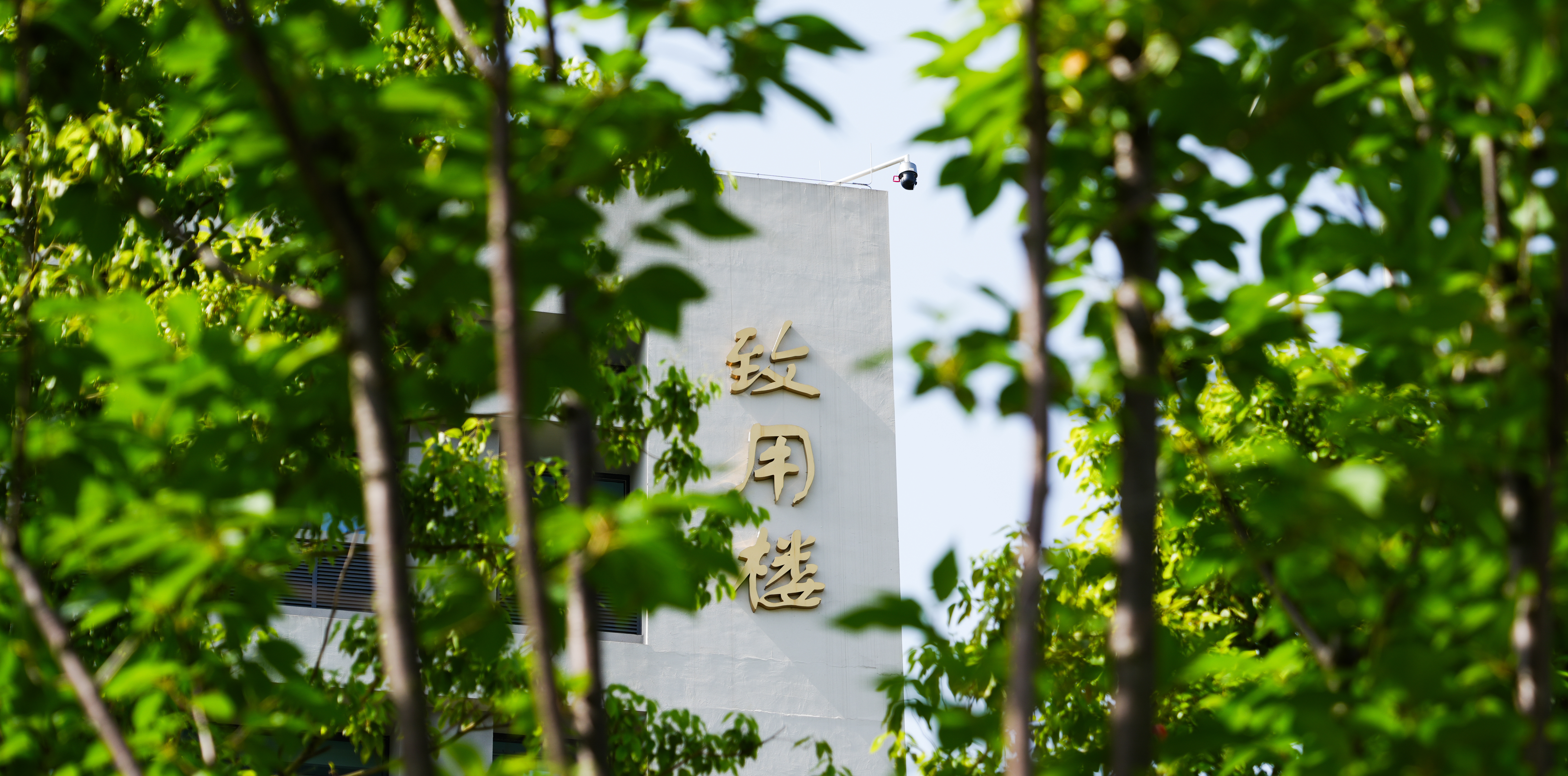 乐乐捕鱼手游官网风光 | [党建头条