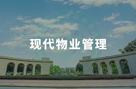 社会工作