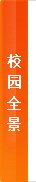 相关阅读